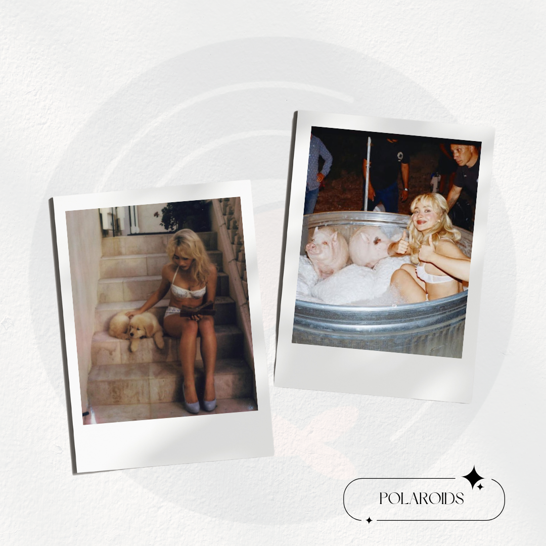 Sabrina Carpenter | Man's Best Friend Bundle