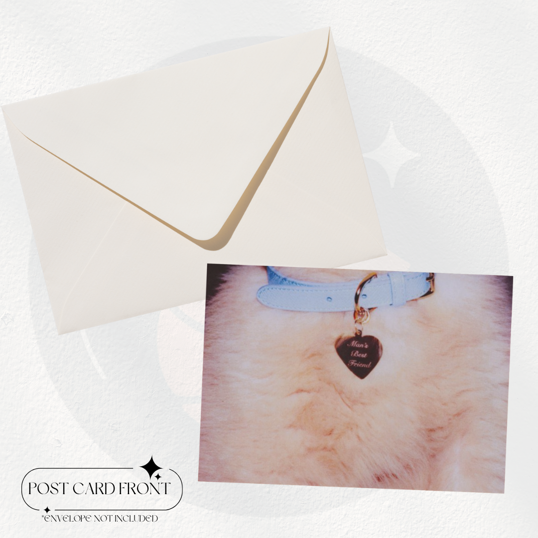 Sabrina Carpenter - Man's Best Friend | Postcard Set