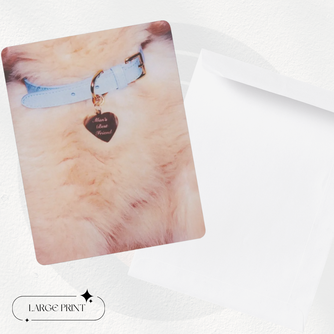 Sabrina Carpenter | Man's Best Friend Bundle